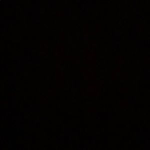 Meet your Posher, Tanner